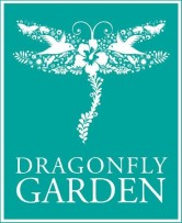Dragonfly Garden 