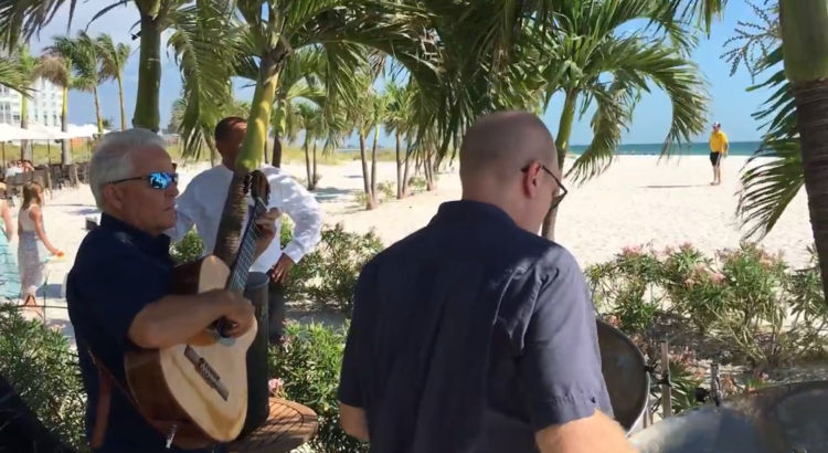 Ode to Joy on steel drums and guitar